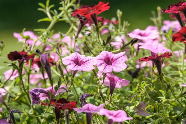 Choisir votre installateur de pompe à chaleur éco-responsable